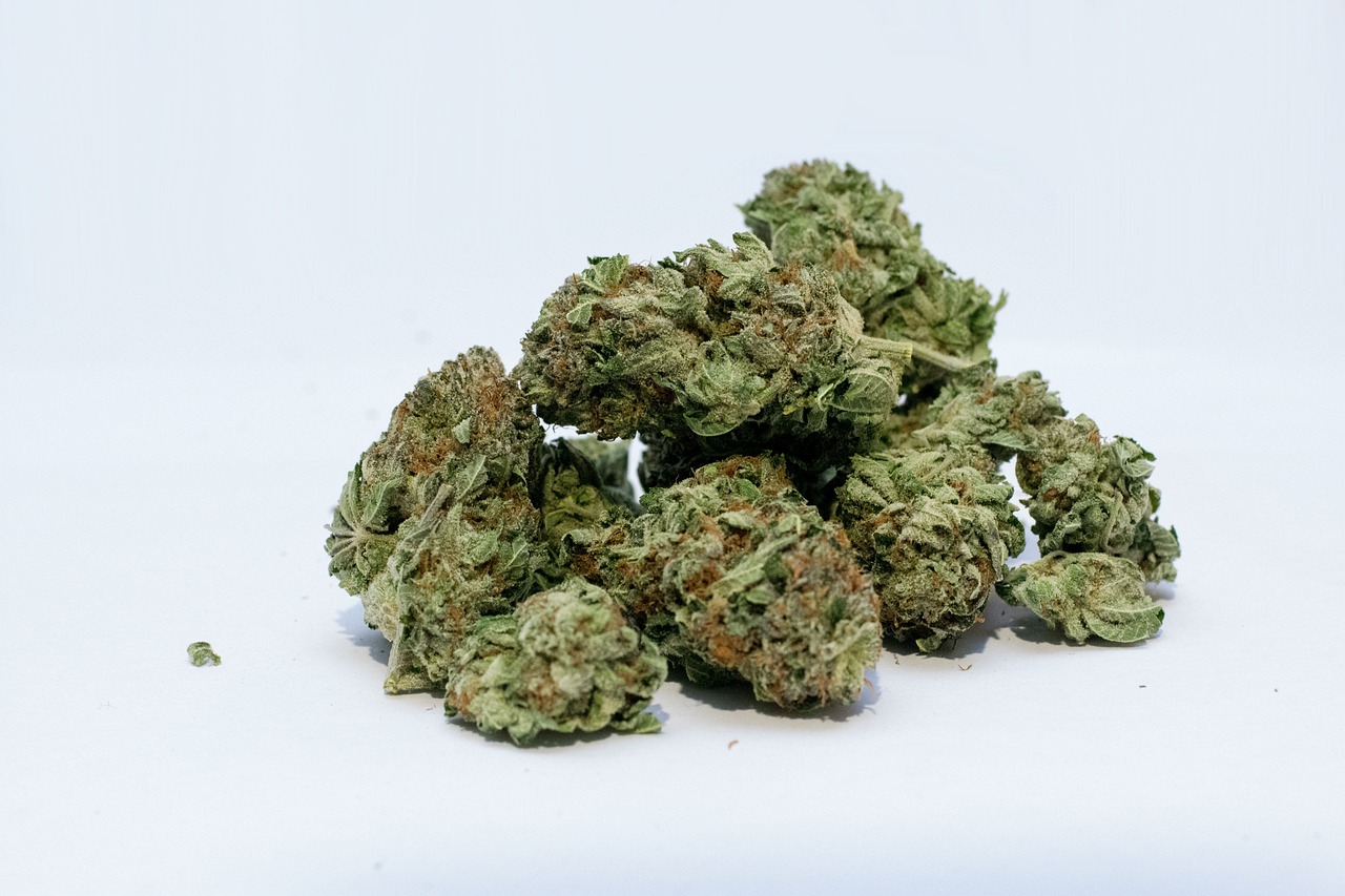 A pile of cbc weed buds displayed on a clean white background, showcasing their rich green hues and dense texture.